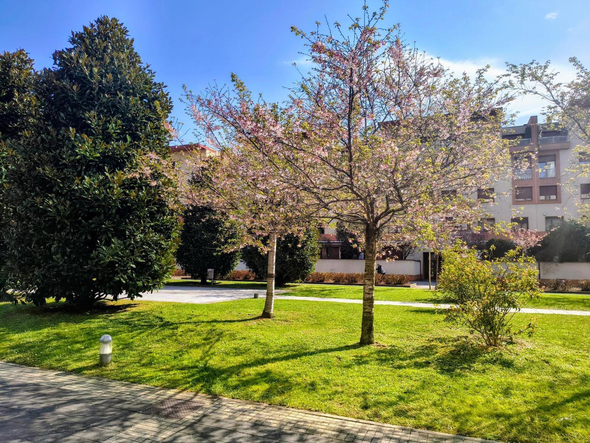 Il Girasole Apartment - Milan, Milan